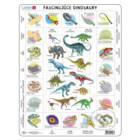 Fascinujúce dinosaury (HL9) - puzzle z kategorie Naučné puzzle