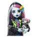 Monster High PŘÍŠERKA MONSTERKA - FRANKIE