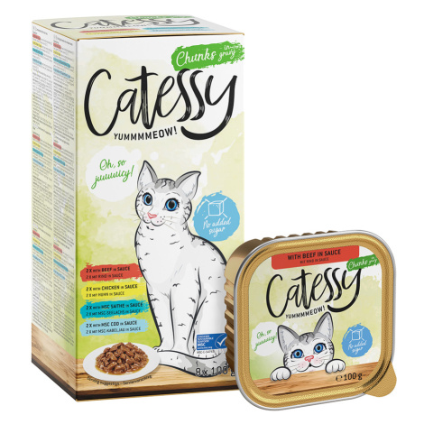 Mixpack Catessy mističky 64 x 100 g - kousky v omáčce mix