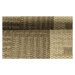 Oriental Weavers koberce Kusový koberec SISALO/DAWN 879/J84N (634N) – na ven i na doma - 240x340