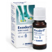 Exoderil 10mg/ml drm.sol.1x10ml