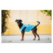 Vsepropejska Buda letní tričko pro psa Barva: Modrá, Délka zad (cm): 24, Obvod hrudníku: 32 - 38