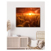 Obrazy na stěnu - Louka při západu slunce Rozměr: 40x50 cm, Rámování: vypnuté plátno na rám