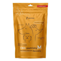 Pamlsok CBD Recovery M 100g