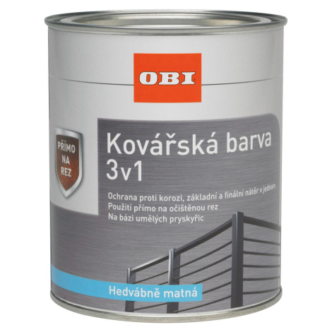 OBI Kovářská barva 3v1 černá hedvábně matná 750 ml