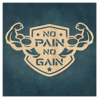 Motivační obraz - No Pain No Gain