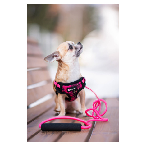 Vsepropejska Cruel postroj pro psa s vodítkem | 31 – 55 cm Barva: Růžová, Obvod hrudníku: 37 - 5
