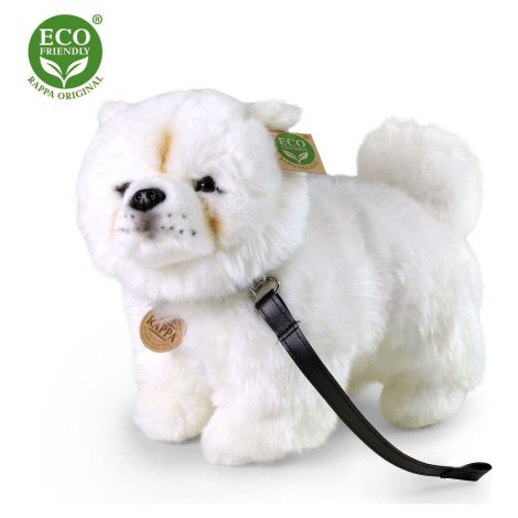 Rappa Plyšový pes čau-čau 30 cm Eco Friendly