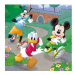 Walt Disney Mickey a Minnie sportovci 3x55D