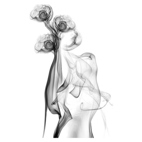 Plakát, Obraz - black smoke isolated on white background, DimitarOmi, 26.7 × 40 cm