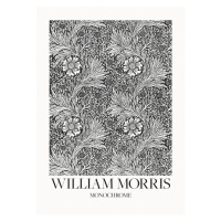 Ilustrace Marigold Monochrome, William Morris, 30 × 40 cm