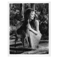 Fotografie Audrey Hepburn In 'The Green Mansions', Archive Photos, 30 × 40 cm