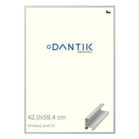 DANTIK rámeček 42 × 59,4, ALU profil 6001 Stříbrný matný plexi čiré