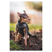 Vsepropejska Warm zimní bunda pro psa s kožichem Barva: Černá, Délka zad (cm): 39, Obvod hrudník