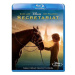 Secretariat - blu-ray