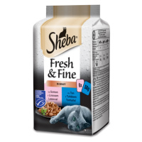 Sheba Fresh & Fine s lososem a tuňákem 6 x 50 g