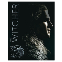 Plakát, Obraz - The Witcher - Shadows Embrace, (40 x 50 cm)