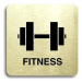 Accept Piktogram "fitness II" (80 × 80 mm) (zlatá tabulka - černý tisk bez rámečku)