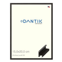 DANTIK rámeček 15 × 20, ALU profil 6030 Dýha černý sklo čiré