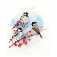 Obrazová reprodukce Chickadees with Berries, 2017,, Keeling, John, 35x40 cm