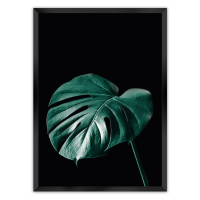 Dekoria Plakát Dark Monstera, 30 x 40 cm, Volba rámku: Černý