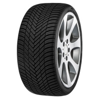 FORTUNA 225/55 R 19 99W ECOPLUS_2_4S TL M+S 3PMSF FORTUNA