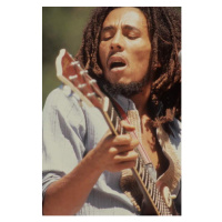 Fotografie BOB MARLEY, 1975, 26.7 × 40 cm