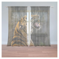 Záclony Řvoucí tygr: 2ks 150x250cm