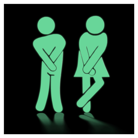 Samolepící fotoluminiscenční označení WC - muži a ženy Samolepící fotoluminiscenční označení WC 