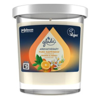 GLADE Aromatherapy Pure Happiness 170 g