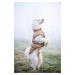 Vsepropejska Warm zimní bunda pro psa s kožichem Barva: Modrá, Délka zad (cm): 33, Obvod hrudník
