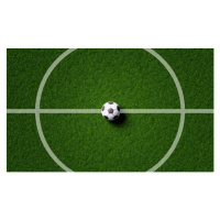 Fotografie Soccer field center and ball in, Shutter2U, 40x24.6 cm