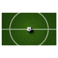 Fotografie Soccer field center and ball in, Shutter2U, 40 × 24 cm