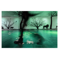 Umělecká fotografie Translucent man, Tetsuya Hashimoto, (40 x 26.7 cm)