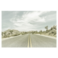 Umělecká fotografie Country Road with Joshua Trees, Melanie Viola, (40 x 26.7 cm)