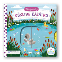 Minipohádky –  Ošklivé káčátko  Dean Gray - Gray Dean