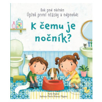 K čemu je nočník? (Úplně první otázky a odpovědi) - Katie Daynes - kniha z kategorie Pro děti