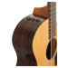 Taylor 254ce Plus