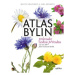 Atlas bylin | Atila Vörös, Marta Knauerová, Jana Drnková, Jana Drnková