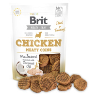 BRIT Jerky Chicken with Insect Meaty Coins pamlsky pro psy 1 ks, Hmotnost balení: 80 g