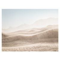 Fotografie Desert Landscape, Sisi & Seb, (40 x 30 cm)