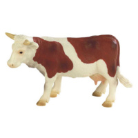 Kráva Fanny hnědo-bílá