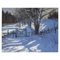 Obrazová reprodukce Gate near Youlgreave, Derbyshire, Andrew Macara, 40 × 30 cm