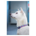 Vsepropejska Geo modro-červený obojek pro psa Barva: Modro-červená, Obvod krku: 46 - 75 cm