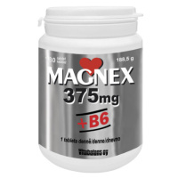 Magnex 375mg+B6 tbl.180