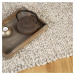Obsession koberce Kusový koberec Stellan 675 Ivory - 140x200 cm