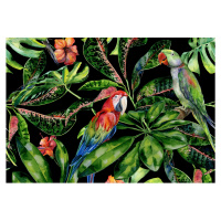Dekoria Obraz na płátně Tropical Birds, 50 x 35 cm