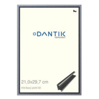 DANTIK rámeček 21 × 29,7, ALU profil 7002 Platina matný sklo čiré