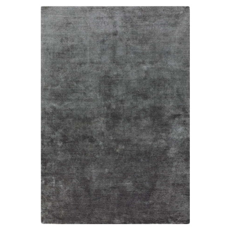 Tmavě šedý koberec 200x290 cm Milo – Asiatic Carpets