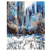 Malování podle čísel - BRUSLENÍ V NEW YORKU Rozměr: 40x50 cm, Rámování: bez rámu a bez vypnutí p
